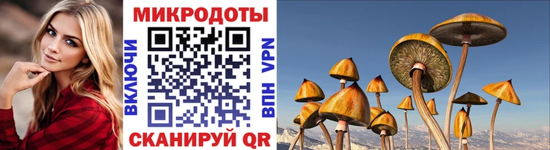 Псилоцибиновые грибы ЛСД  как найти   Коммунар 